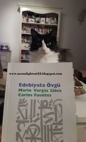Edebiyata Ovgu Mario Vargas Llosa Carlos Fuentes Kisa Kitap Festivali Okuma Listeleri Kitap Okuma