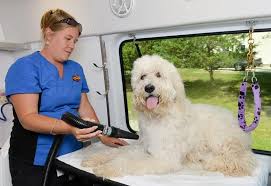 Considered similar to aussie mobile grooming, we think that our service is at the top of the heap. Aussie Dog Grooming