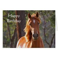 We did not find results for: Horse Happy Birthday Candacefaber