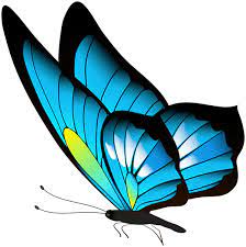 Butterfly Png Clip Art Butterfly Art Drawing Butterfly Art Painting Butterfly Painting