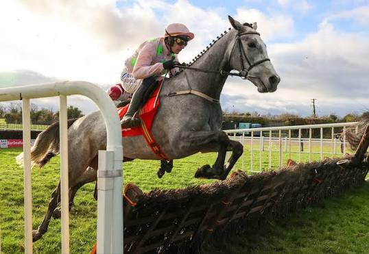 The Grade 1 Entries Are Revealed! ♣️ An intriguing rematch is on the cards  as Lossiemouth & Teahupoo are both entered in this year's @baroneracing  Hatton's Grace 🐎 Mullins has a strong