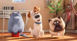 Secret life of pets bunny. Secret Life Of Pets Review A Silly Poorly Written Excuse For A Toy Story Retread