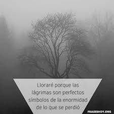La combinación de ambos recibe el nombre de parasíntesis y da lugar a la formación de palabras parasintéticas. Dedicatorias Y Frases Para Una Hija Fallecida Fraseshoy Org