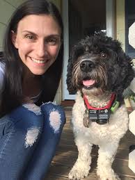 In-home dog sitter in Bethel Park area