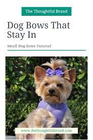 Hope you find this video helpful. How To Put A Bow On A Small Dog Dog Hair Bows Dog Bows Small Dog Bows