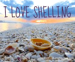 Find and compare great deals on hotels in sanibel, fl and you can save big! Sanibel Island Fl The World S Best Shelling Beaches Beach Bliss Living