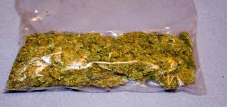 A zip of weed is an ounce of weed, or roughly 28 How Many Grams Are In Half A Pound Mccnsulting Web Fc2 Com