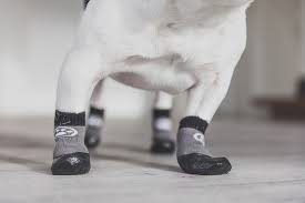 grippers non slip dog socks dog quality