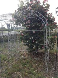 Rosenbogen Mit Ruckwand Schmiedeeisen Verzinkt 140 Cm Rosenbogen Rosenbogen Metall Bogen