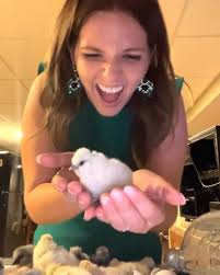 My name is Alaina Ford and I have the pleasure of representing Western  Illinois. I am the 20 year old daughter of Jason and Aleece Ford of  Franklin. I am a graduate