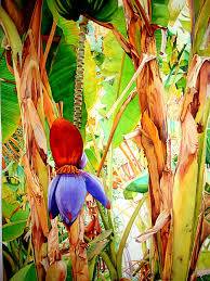 Fleur De Banane F Chauray Floral Painting Watercolor Artists Palm Tree Art