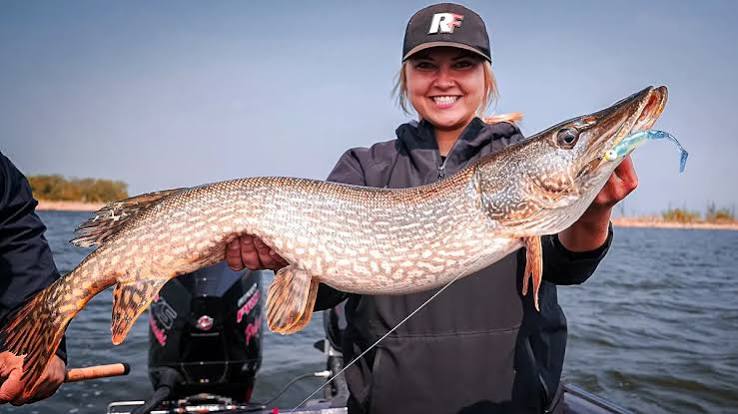 Pike Fishing: Complete Guide for Every Season - Wired2Fish