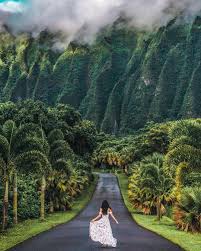 Now Discovering The Ho Omaluhia Botanical Garden In Oahu Hawaii With Katrinathi Situated At 45 680 Luluk Hawaii Pictures Hawaii Photography Hawaii Vacation