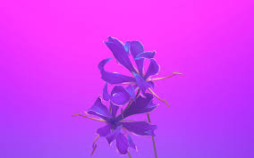 Maybe you would like to learn more about one of these? Page 2 Of Purple 4k Wallpapers For Your Desktop Or Mobile Screen