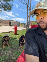 Edmond Lost and Found Pets