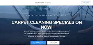 Carpet cleaning has always been a job of sheer physical efforts plus specific cleaning tactics, what an amateur could hardly imbibe and. The 18 Services With The Best Carpet Cleaning In Auckland 2021