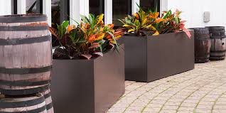 Without ample room to grow, these even if plants are not large, you may need large planters if you plan on placing lots of plants together. Commercial Planters Large Planters Outdoor Indoor Pots