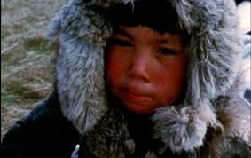 Susan Hegeman, "Arctic Pedagogy: Indigenous People and the MACOS Culture  War"