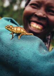 LIVING PLANET REPORT 2020