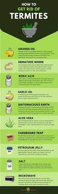 17 Natural Home Remedies To Get Rid Of Termites Termite Control Termite Treatment Termites