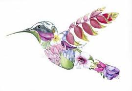 Hawaiian Tattoos Roman Reigns Hawaiiantattoos Hummingbird Art Hummingbird Flower Tattoos Hummingbird Tattoo