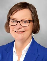 Diane Comer，临时执行副总裁，首席信息官| Kaiser Permanenteraybat官网