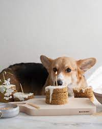 Grain Free Dog Cake Recipe A Cozy Kitchen Recipe Dog Cake Recipes Dog Cakes Dog Cake Recipe Grain Free