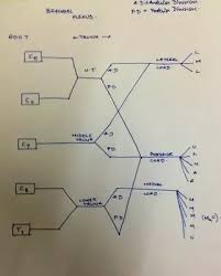 How To Remember All The Brachial Plexus Any Mnemonics Quora