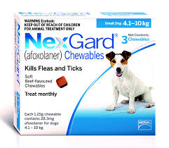 Nexgard Dog Small 4 10kg Dog Flea Worm Flea Treatments Pet Shop Auckland Pet Kiwi Nexgard