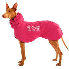 sofa dog wear dog wear dog sofa dog coats