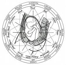 Polarity Therapy Vocal Toning One Path Of Light Rmj Art