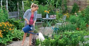 Regelmassiges Hacken Jaten Und Giessen Sorgen Dafur Dass Kartoffeln Kohl Und Bohnen Im Gemusegarten Zur Hochform Auflaufen Und Wo Die F Garten Pflanzen Jaten