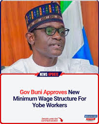 Now That The New Minimum Wage Is Approved, You Will Know Whether Your  Governors Love You Or They're Just Using You To Get Votes ✍️