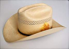 Vintage Stetson Straw Hat Road Runner Bryant Stetson Straw Hats Straw Hat Stetson