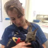 50+ "Sara Batt" profiles