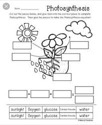 Pin By Monika Hajdova On Science Homeschool Photosynthesis Worksheet Photosynthesis Science Worksheets