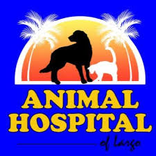 13910 walsingham rd largo, fl 33774. Animal Hospital Of Largo Home Facebook