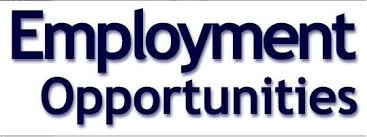 Pin On Employment Agency Sydney