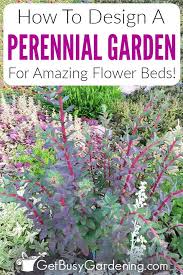 We did not find results for: Perennials Made Easy How To Create Amazing Gardens Get Busy Gardening