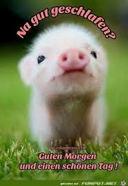 Guten Morgen Schwedisch