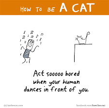 Pin By Last Lemon On How To Be A Cat Funny Cats I Love Cats Cat Comics