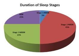 each sleep cycle is made up of several different stages of