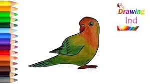 20 gambar sketsa kumpulan gambar sketsa bunga 10 01 2020 burungnya com lovebird atau burung cinta merupakan salah satu jenis burung yang mempunyai warna paling indah dan cantik. Menggambar Burung Lovebird Cantik By Drawing Ind
