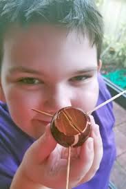 Check spelling or type a new query. How To Grow Avocado Seeds With Children Gardener S Path