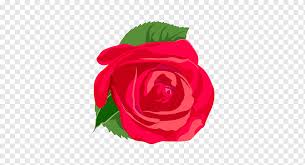 Mawar grafis bunga gambar vektor gratis di pixabay unduh gambar gratis tentang mawar grafis bunga dari perpustakaan pixabay yang sangat banyak berupa gambar gambar dan video. Bunga Mawar Euclidean Mawar Merah Selamat Ulang Tahun Gambar Vektor Magenta Lukisan Png Pngwing