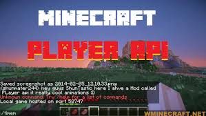 Player Api Mod 1 16 2 1 14 4 1 12 2 1 7 10 In 2020 Minecraft Mods Mod Minecraft