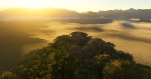 The metaverse didn't die. It moved inside Microsoft Flight Simulator 2024