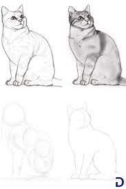 Comment dessiner un chat | Dessin chat facile, Comment dessiner un chat,  Tutoriel dessin chat