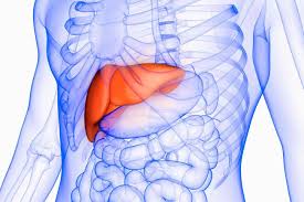 Check spelling or type a new query. Best Liver Health Supplements Review Top Liver Detox Pills Peninsula Daily News