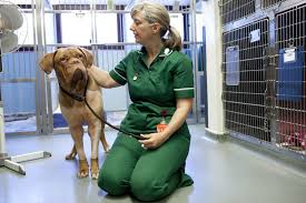 We did not find results for: 24 Hour Pet Clinic Regina Crazypurplemama